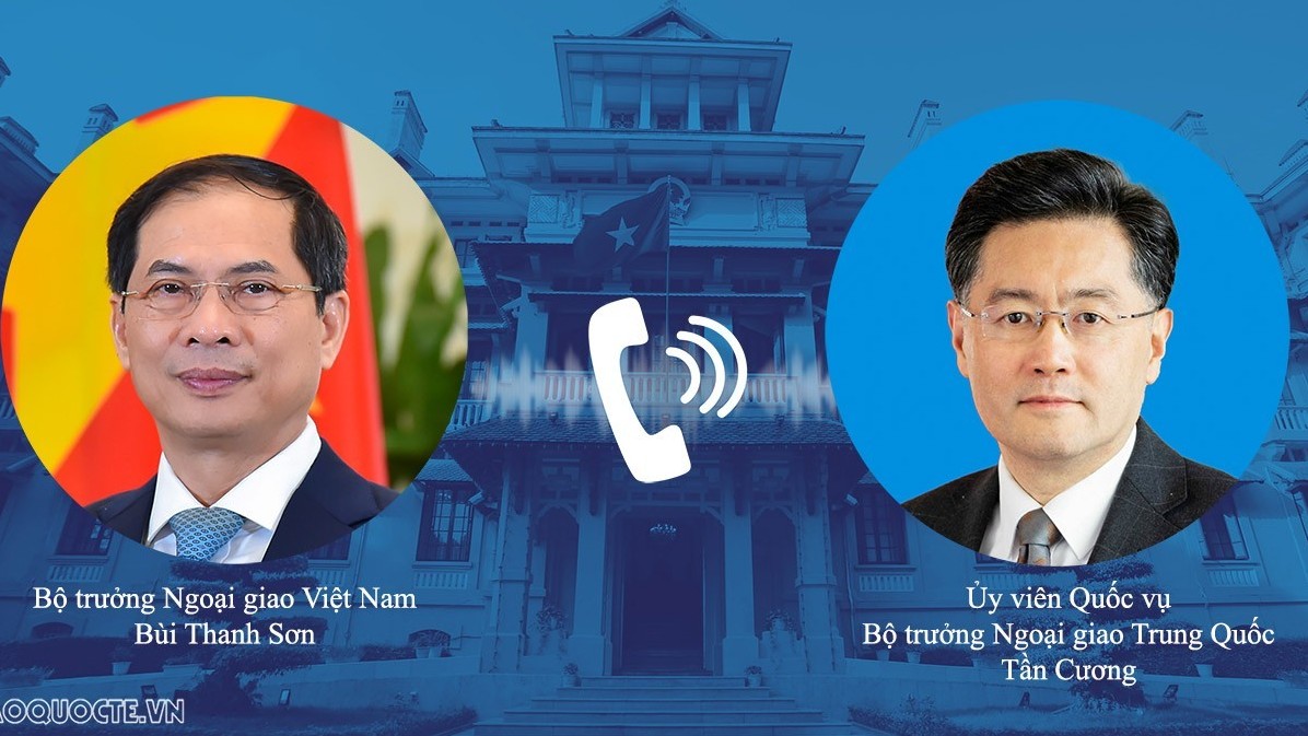 Foreign Minister, Chinese State Councilor hold online talks