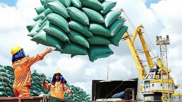 First time surpassed India and Thailand, Vietnam becomes biggest rice supplier for Singapore