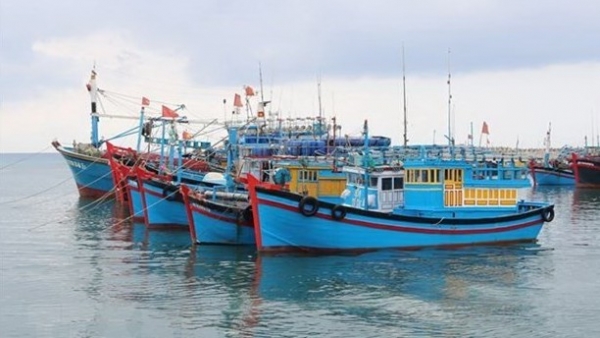South-central coastal provinces work hard to prevent illegal fishing (IUU)
