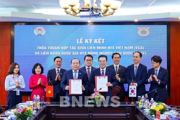 Vietnam, RoK cooperate to support cooperative development