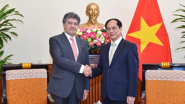 Foreign Minister Bui Thanh Son receives Armenian Ambassador