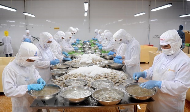 Ca Mau eyes 1.73 billion USD in export revenue by 2030 Ca Mau eyes 1.73 billion USD in export revenue by 2030