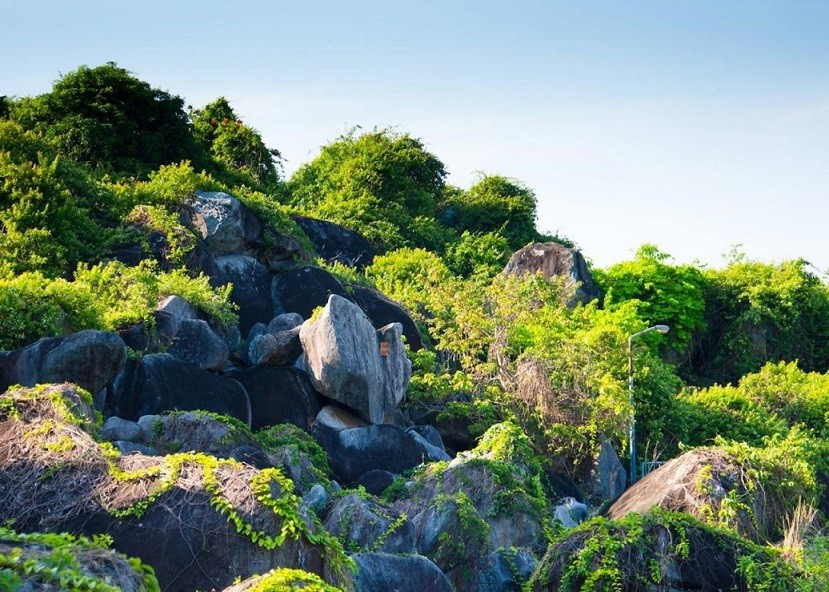 Green on the top of glory.