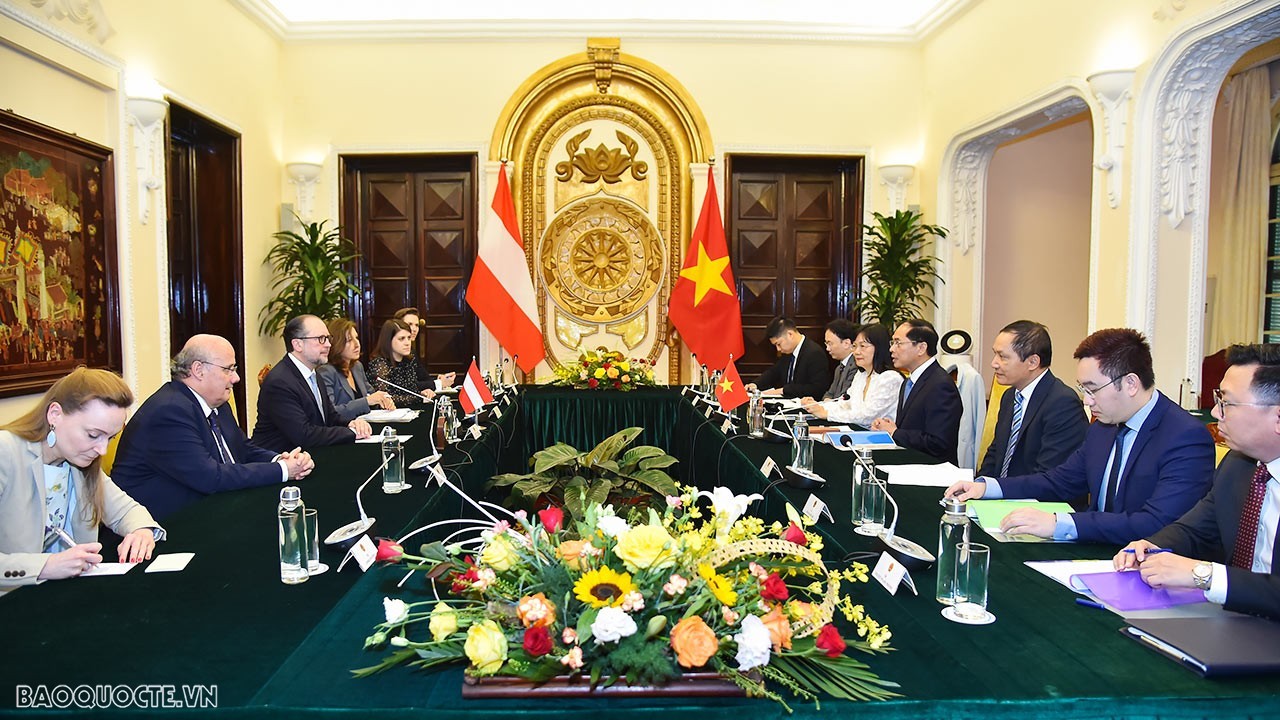 Foreign Minister Bui Thanh Son, Austrian counterpart Alexander Schallenberg hold talks
