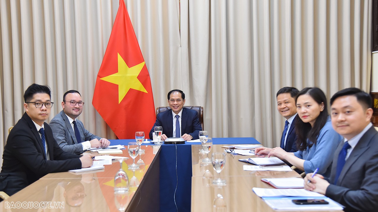 Vietnam, Mozambique Foreign Ministers hold online talks