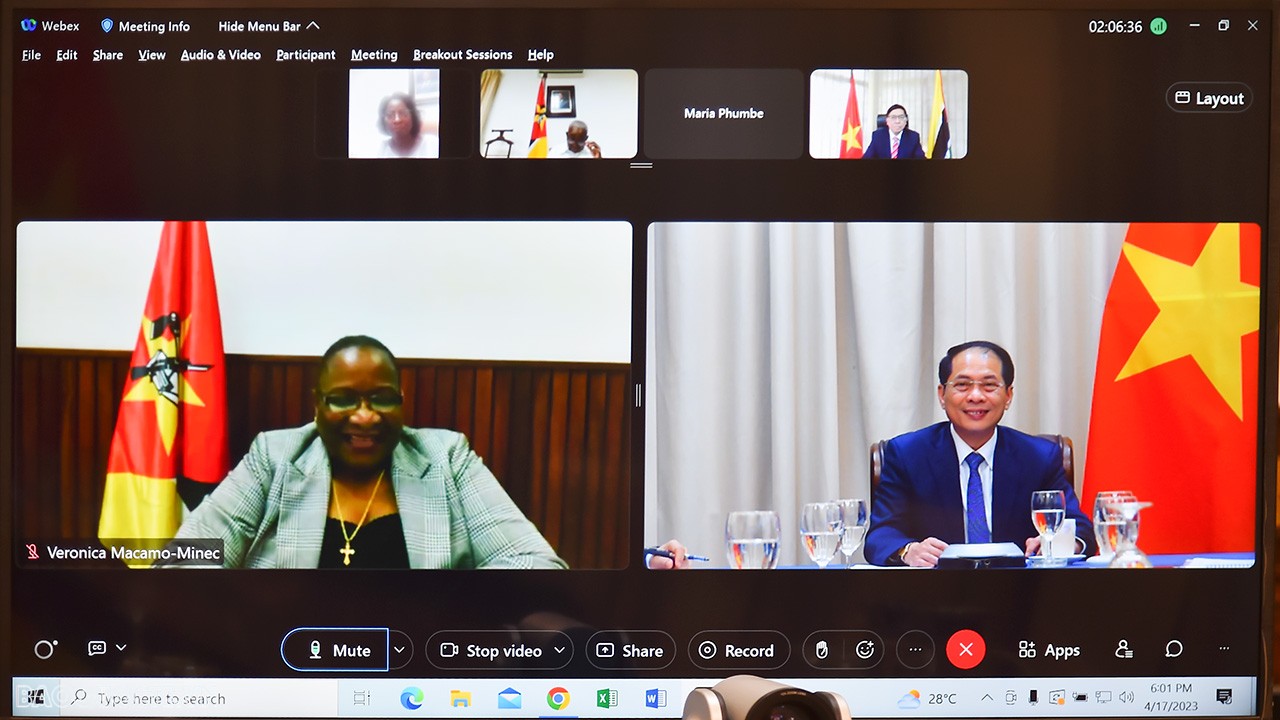 Vietnam, Mozambique Foreign Ministers hold online talks