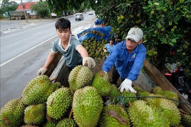 Bright prospect for fruit, vegetable exports in Q2 Bright prospect for fruit, vegetable exports in Q2