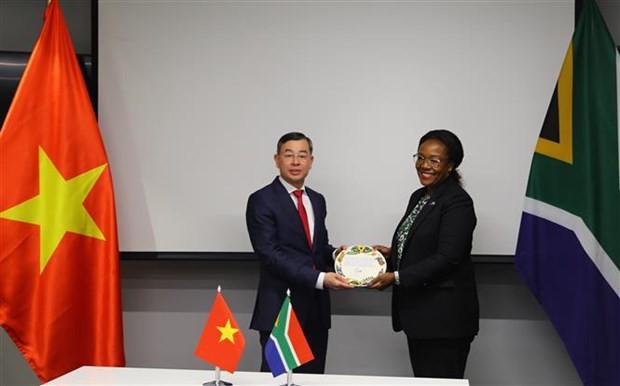 Vietnamese, South African Audit Offices speed up cooperation