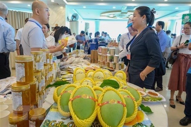 A business connection session between Vietnamese and Chinese enterprises (Photo: VNA)