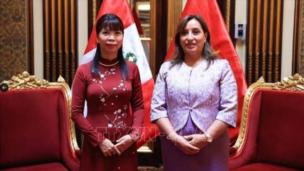 Vietnam is Peru’s important partner in Southeast Asia: Peruvian officials