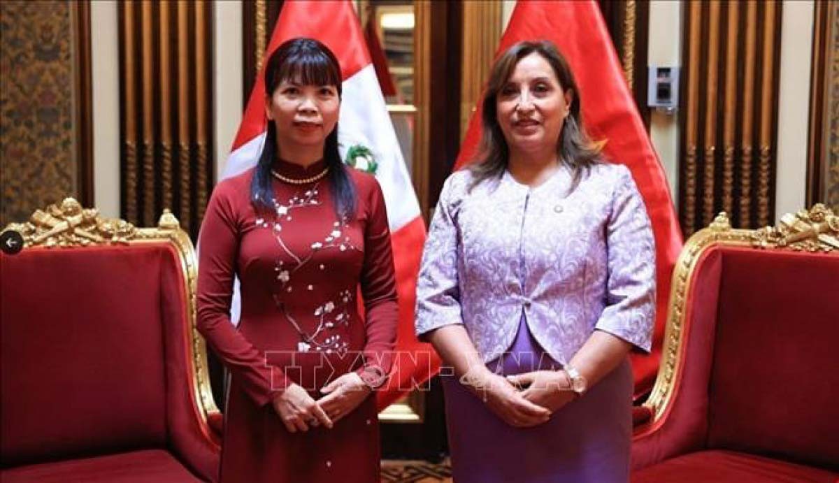 President Dina Boluarte hailed the fine cooperative relations between Peru and Vietnam during her recent reception for outgoing Vietnamese Ambassador to Brazil and Peru Pham Kim Hoa. (PHoto: VNA)