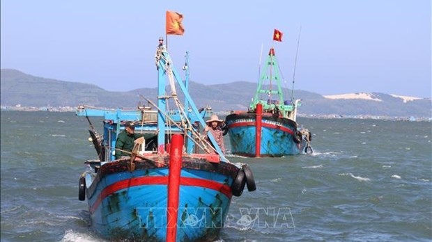 Fishing vessels in Phu Yen avoid illegal fishing in foreign waters: MARD