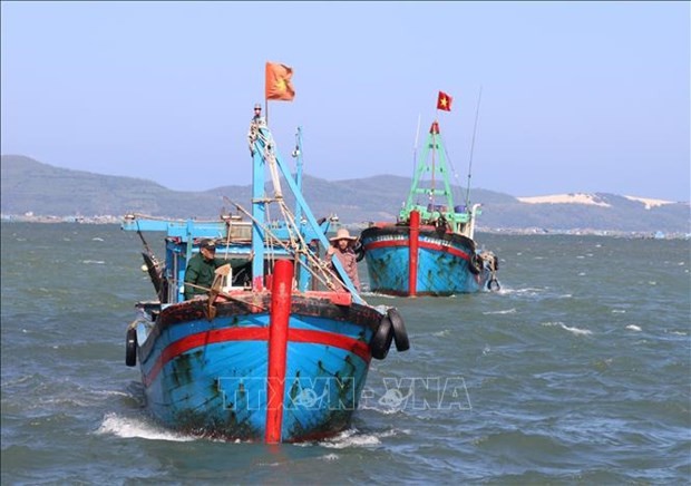 Fishing vessels in Phu Yen toe the line, avoid illegal fishing in foreign waters