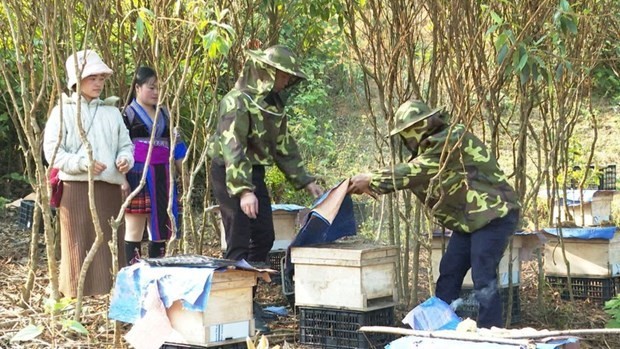 Japan helps promote economic empowerment for Lai Chau&rsquo;s young ethnic people