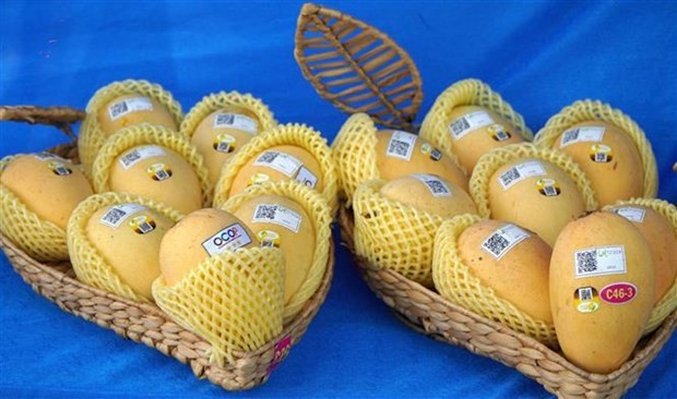 Vietnam ranks third in exporting mango to RoK