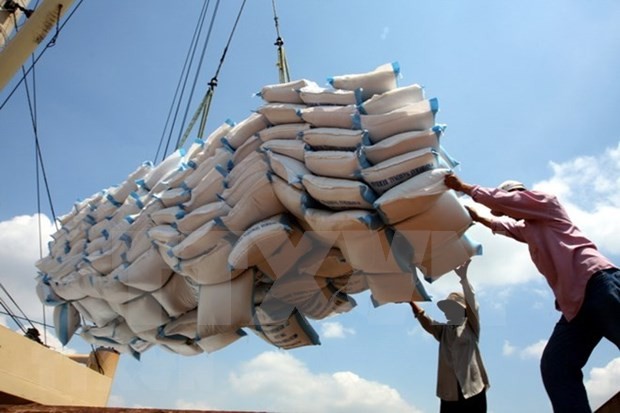 Export of rice posts highest growth among key agricultural products