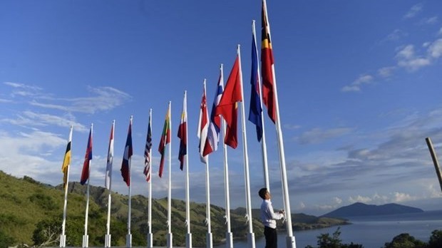 Vietnam contributes important ideas at 42nd ASEAN Summit: Ambassador to ASEAN