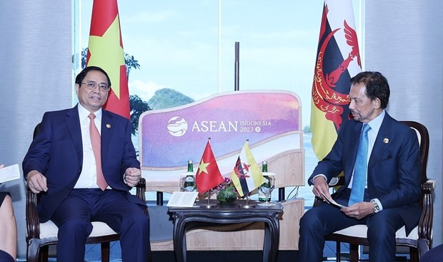 Prime Minister Pham Minh Chinh meets Sultan of Brunei Darussalam