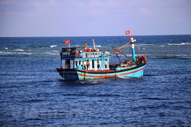 Ca Mau works hard against IUU fishing | Society | Vietnam+ (VietnamPlus)