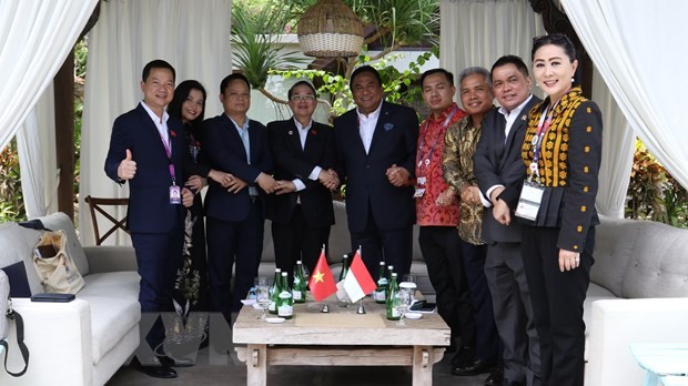 Vietnam enhances parliamentary cooperation with ASEAN countries