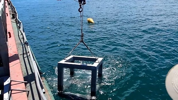 Artificial reef placement proves useful in Ca Mau province