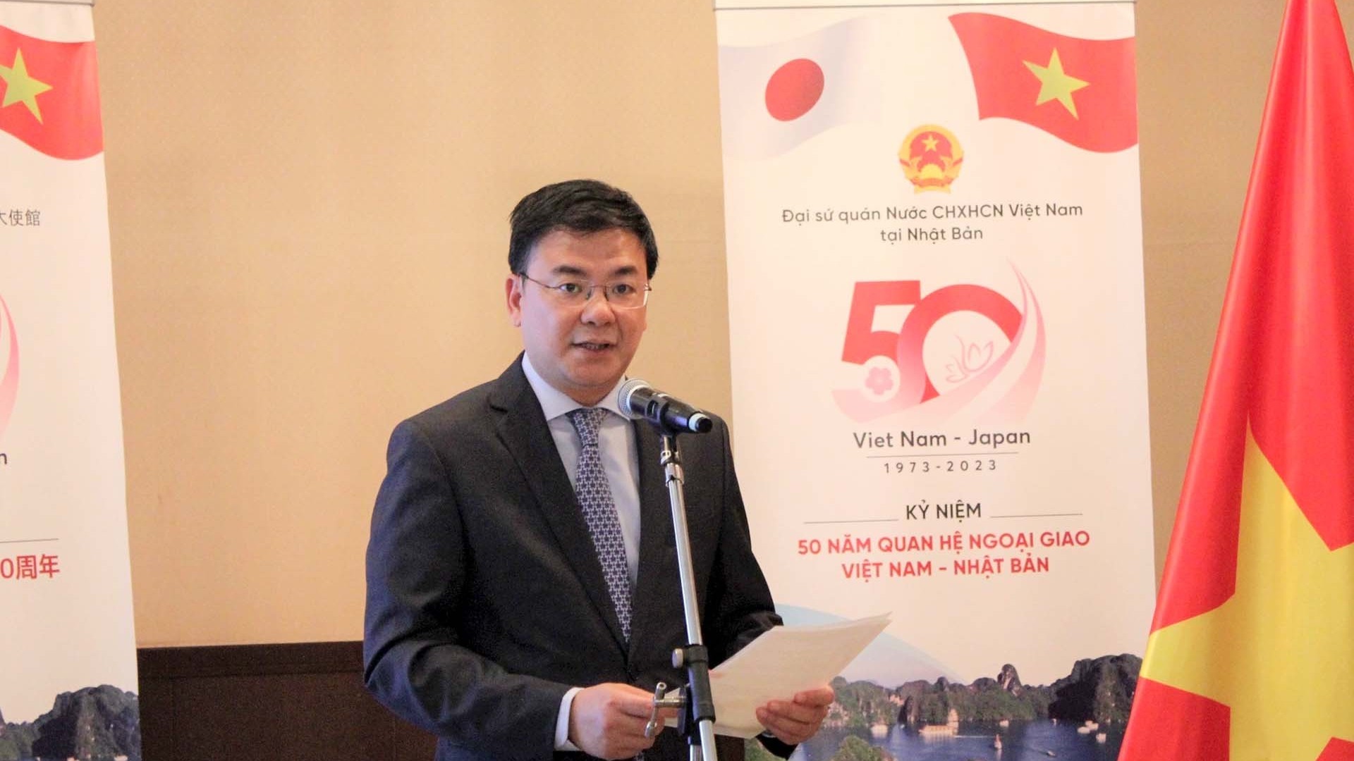 The visit opens new page for Vietnam - Japan relations: Ambassador