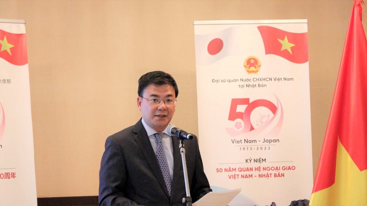 Vietnam Festival in Japan to be held in June: Ambassador