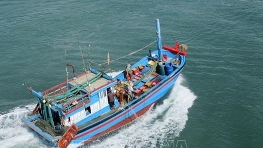 Vietnam resolved to have illegal fishing label lifted: Op-Ed