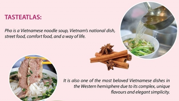TasteAtlas names Vietnamese Pho among world’s 100 most popular dishes