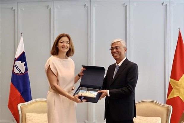 HCM City Vice Chairman receives Slovenian Deputy PM, Minister of Foreign and European Affairs