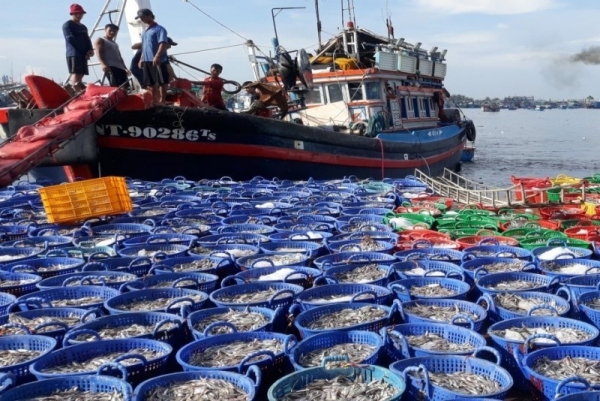 Minister Le Minh Hoan: Strong measures needed to resolutely eradicate illegal fishing