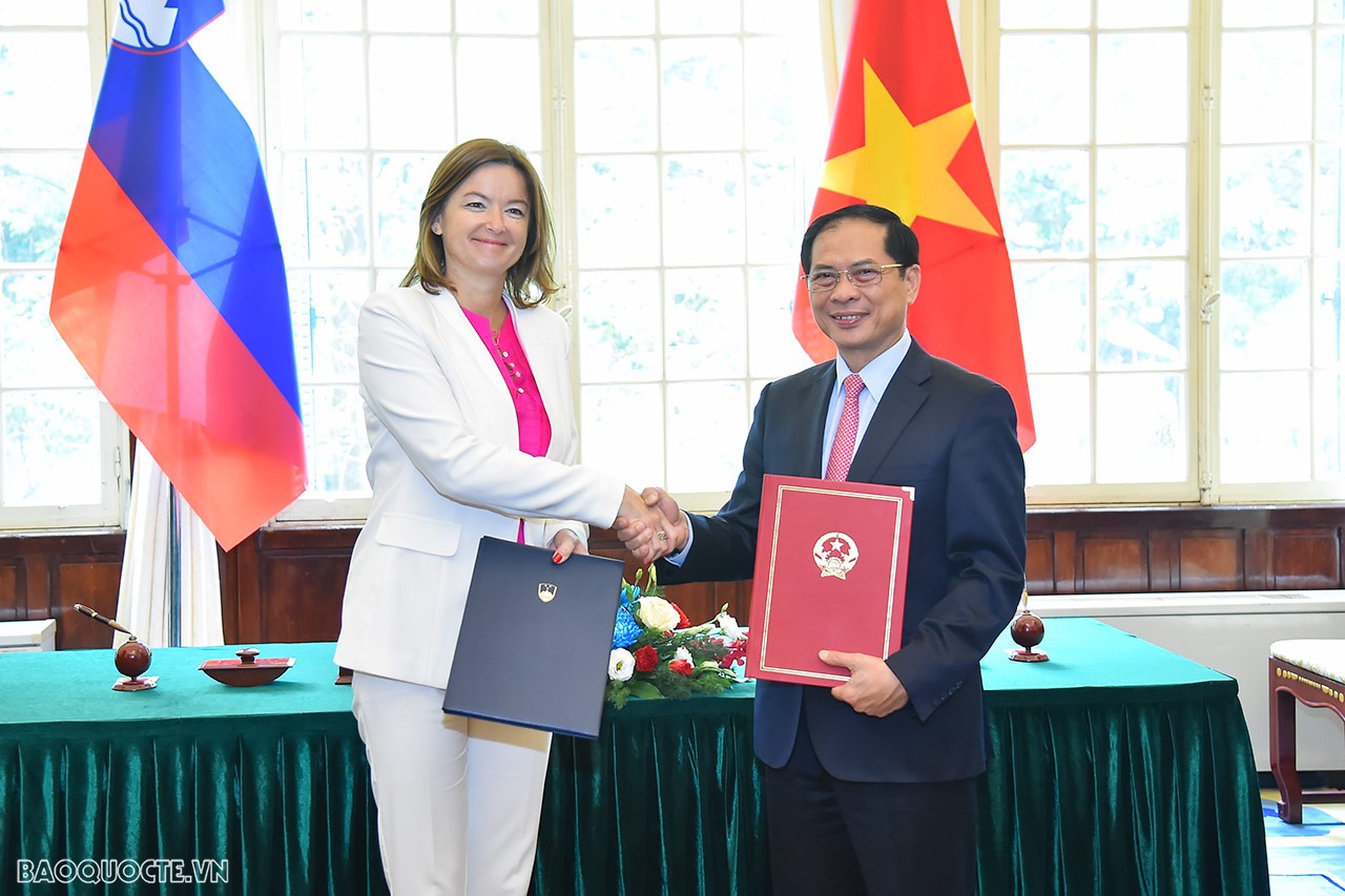 Foreign Minister Bui Thanh Son, Slovenian official hold talks in Hanoi