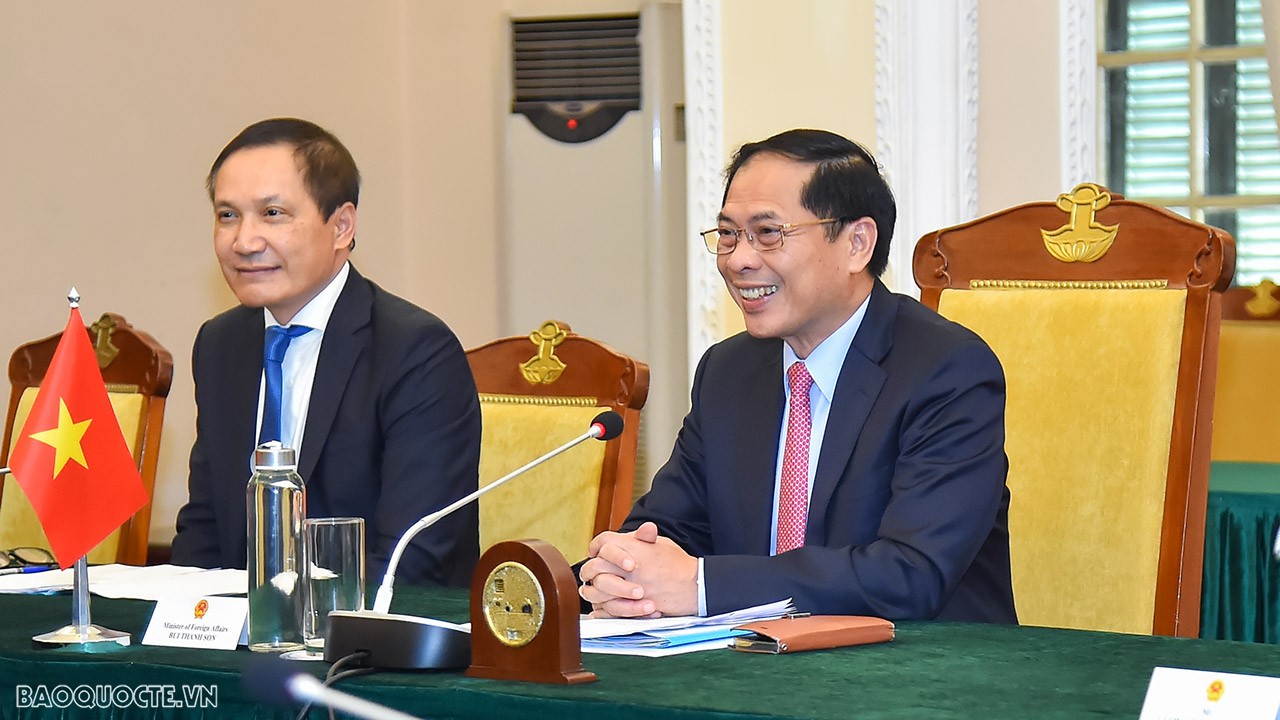Foreign Minister Bui Thanh Son, Slovenian official hold talks in Hanoi