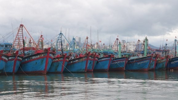Vietnam Fisheries Trade Union raises fishermen's awareness on combatting IUU fishing