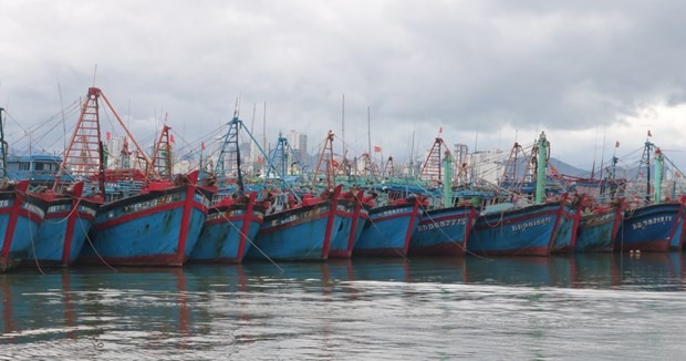 Vietnam Fisheries Trade Union raises fishermen's awareness on combatting IUU fishing