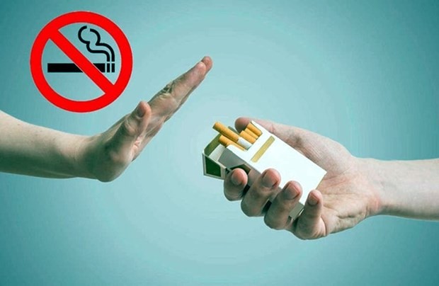 World No-Tobacco Day: Ensuring rights to smoke-free environment   | Health | Vietnam+ (VietnamPlus)