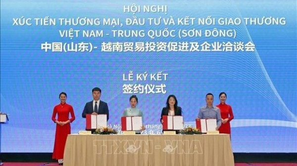 Conference promotes trade-investment between Vietnam and China’s Shandong province