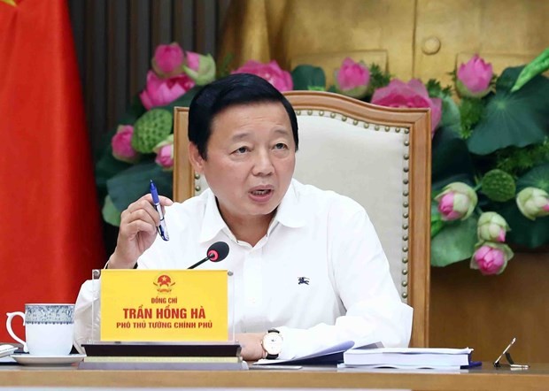Deputy PM Tran Hong Ha held online meeting on reshuffle of hospitals