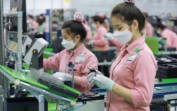 Number of new businesses hits record high in June | Business | Vietnam+ (VietnamPlus)