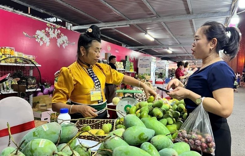 Son La’s plum and agricultural products to be introduced in Hanoi. (Photo: NDO)