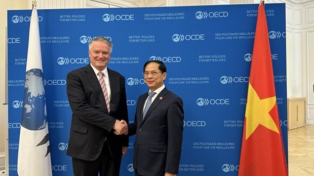 Foreign Minister Bui Thanh Son meets with OECD Secretary-General in Paris