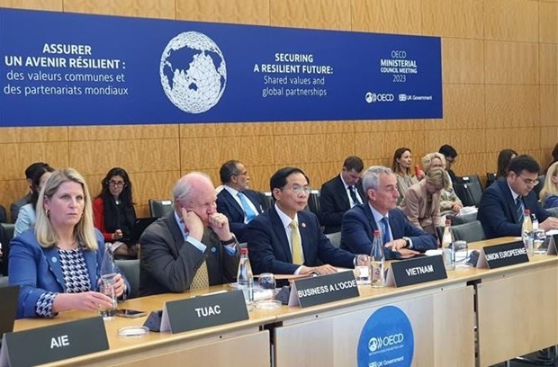 Vietnam makes suggestions at OECD Ministerial Council Meeting 2023