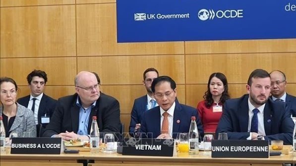Foreign Minister highlights Vietnam’s determination for green transition