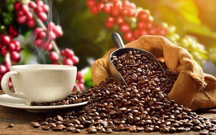 Vietnam’s coffee exports hoped to earn over 4 billion USD this year