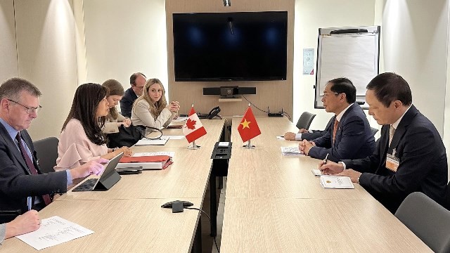 Foreign Minister Bui Thanh Son meets officials of Brazil, France, EC, Canada in Paris
