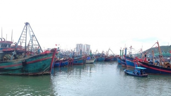 Khanh Hoa takes drastic measures against IUU fishing