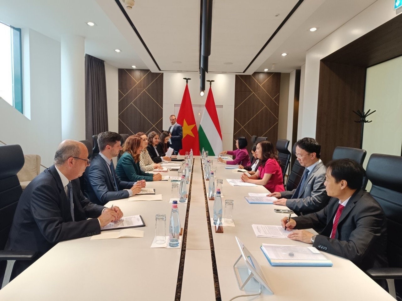 Deputy Foreign Minister hails Hungary for considering Vietnam priority partner
