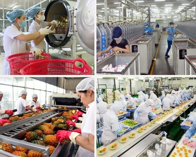 Advantages for EU firms investing in Vietnam’s food processing industry