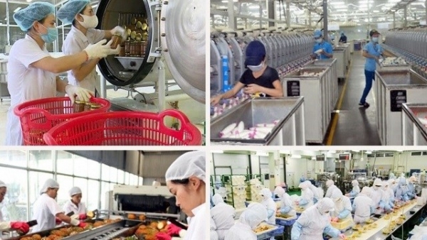 Advantages for EU firms investing in Vietnam’s food processing industry