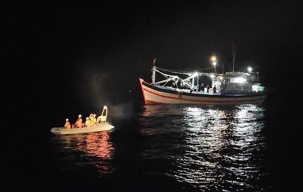 Crewmember in distress safely brought ashore for treatment  | Society | Vietnam+ (VietnamPlus)
